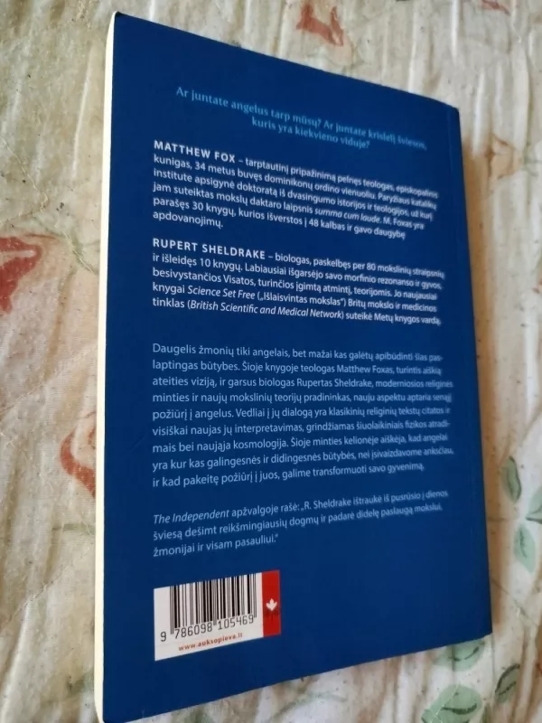 Apie angelų prigimtį. Ten, kur susitinka mokslo ir dvasios tyrinėjimo laukai - Matthew Fox, Rupert Sheldrake, knyga 5