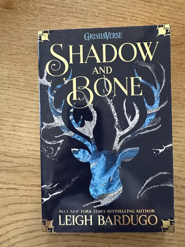 Shadow and Bone trilogy - Leigh Bardugo, knyga 6