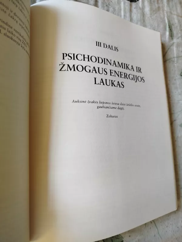 Šviesos rankos - Barbara Ann Brennan, knyga 4