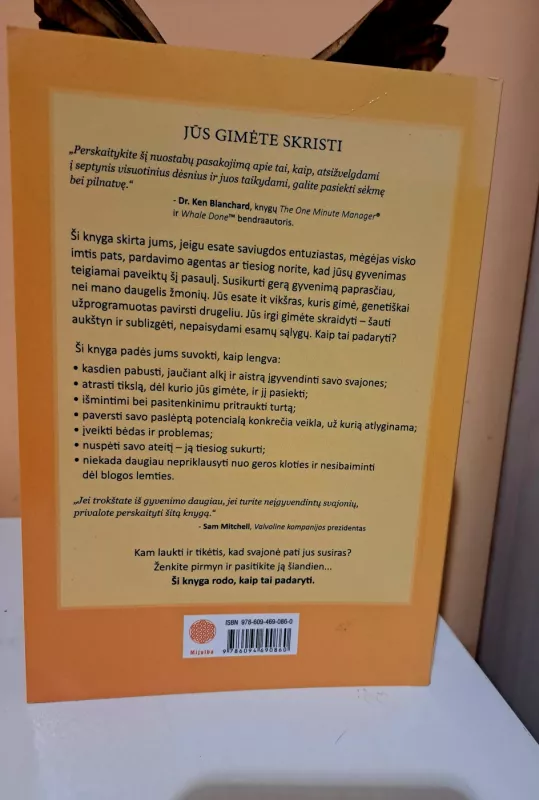 Jei vikšras gali skristi, galiu ir aš - Alvin Day, knyga 3