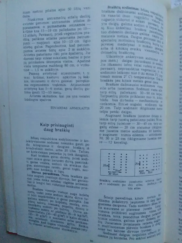 Kolūkiečio kalendorius 1979 - Autorių Kolektyvas, knyga 3