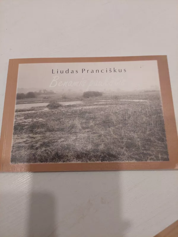 Benamis paukštis - Liudas Pranciškus, knyga 2