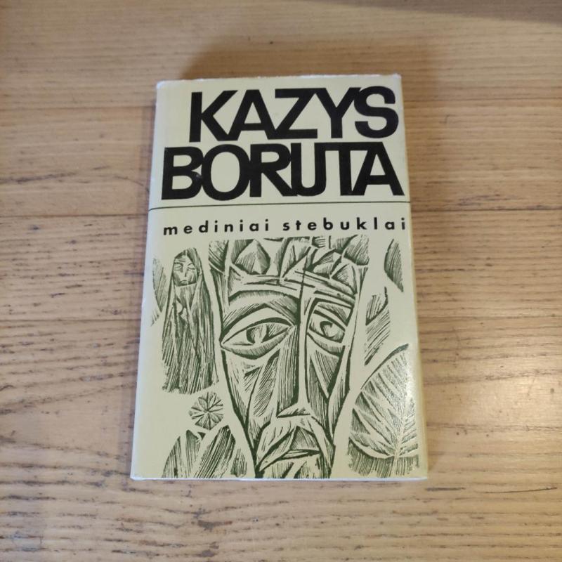 Mediniai stebuklai - Kazys Boruta, knyga 2