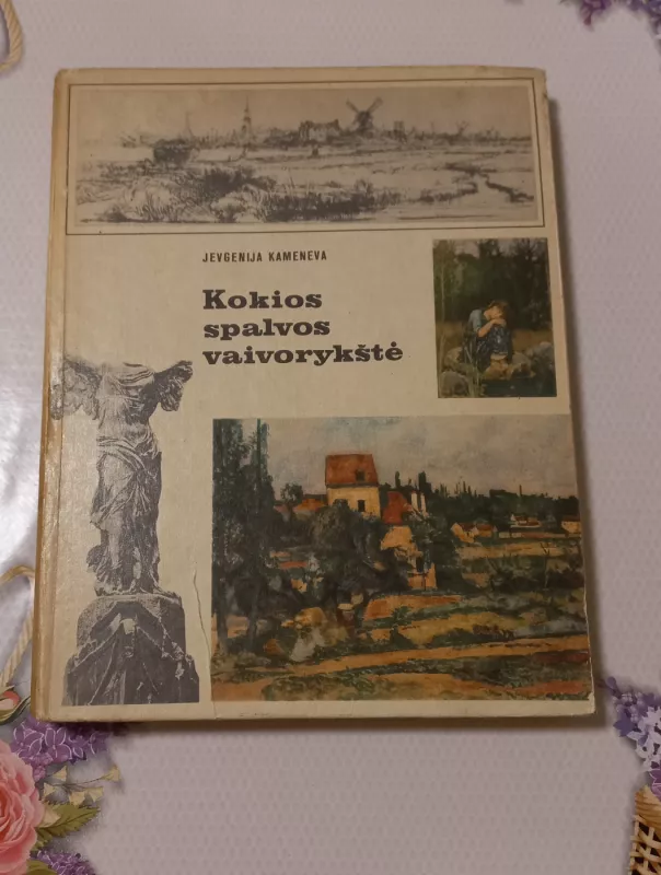 Kokios spalvos vaivorykštė - Jevgenija Kameneva, knyga 2