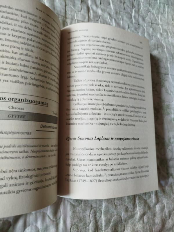 Spontaniška Evoliucija: mūsų šviesi ateitis ir kaip ją pasiekti - Bruce  H. Lipton, knyga 4