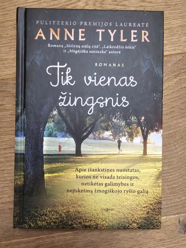 Tik vienas žingsnis - Anne Tyler, knyga 2