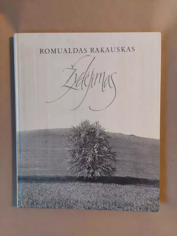 Žydėjimas - Romualdas Rakauskas, knyga 2