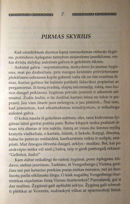 Paniekos metas - Andrzej Sapkowski, knyga 6