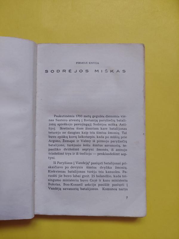 Devyniasdešimt tretieji metai (I dalis) - Victor Hugo, knyga 6