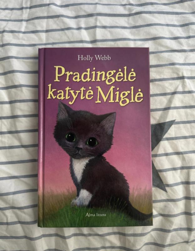 Pradingėlė katytė Miglė - Holly Webb, knyga 2