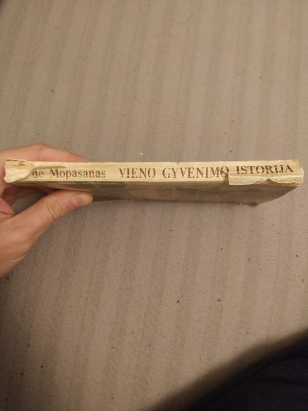 Vieno gyvenimo istorija - Gi De Mopasanas, knyga 4