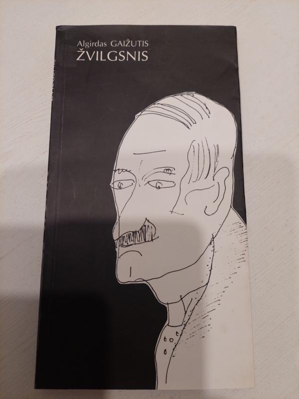 Žvilgsnis - Algirdas Gaižutis, knyga 2