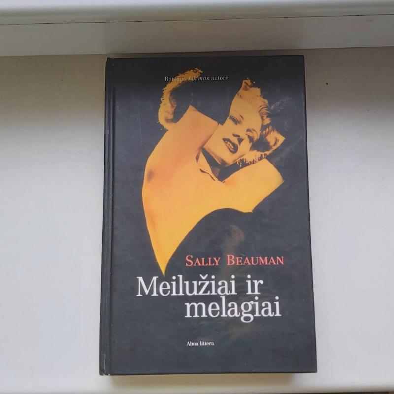 Meilužiai ir melagiai - Sally Beauman, knyga 2