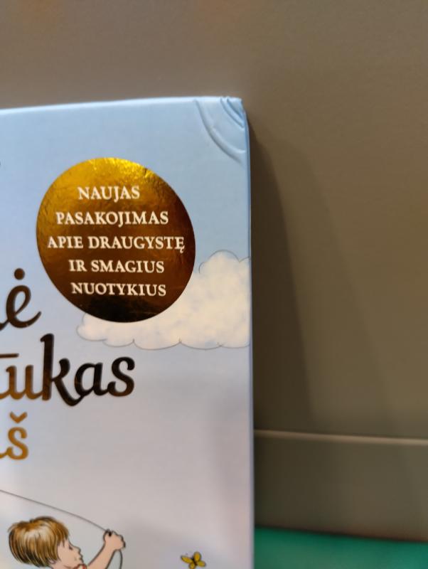 Mikė Pūkuotukas ir aš - Jeanne Willis, knyga 4