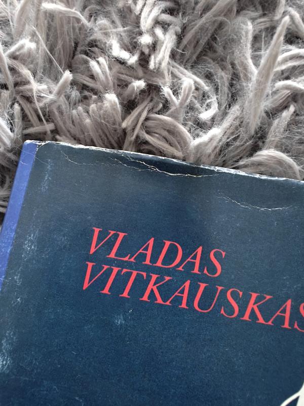 Aukščiau pasaulio viršukalnių - Vladas Vitkauskas, knyga 3