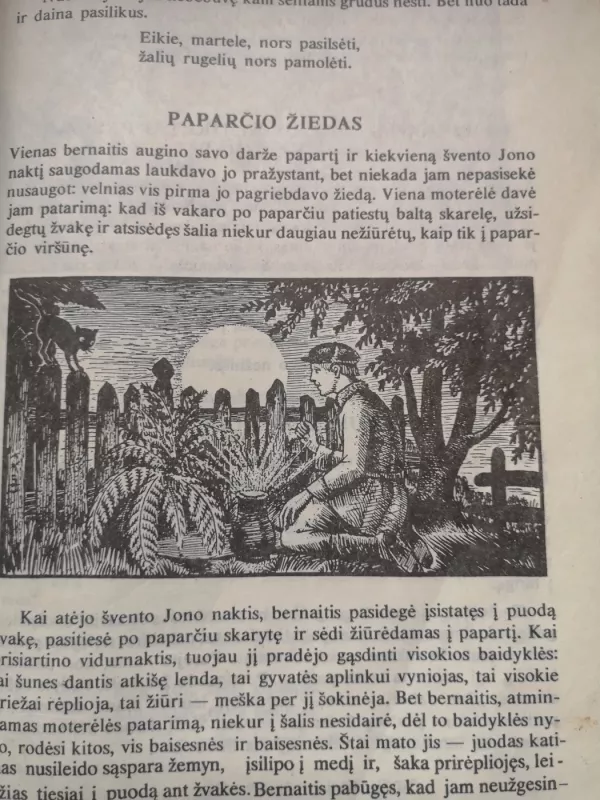 Pasakos. Tiems, kuriuos žadina pasaka - Antanas Giedrius, knyga 6