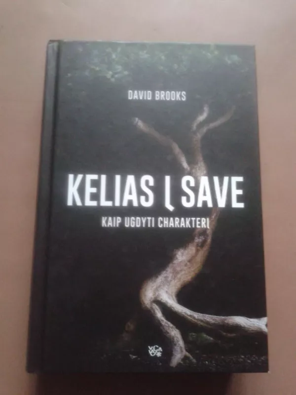 Kelias į save. Kaip ugdyti charakterį - David Brooks, knyga 2