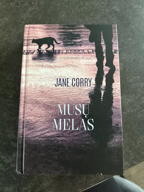 Mūsų melas - Jane Corry, knyga 2