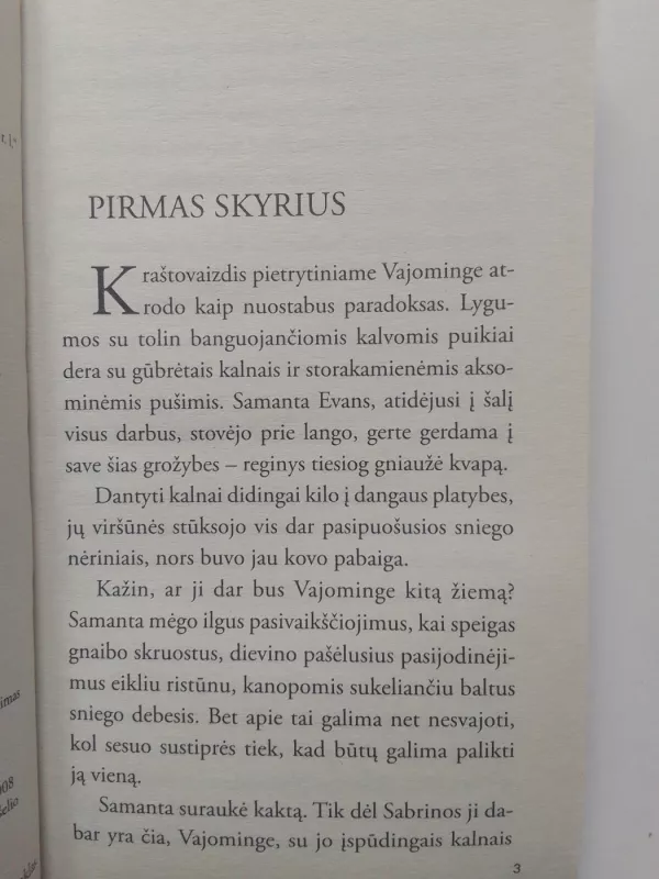 Vakarų giesmė - Nora Roberts, knyga 3