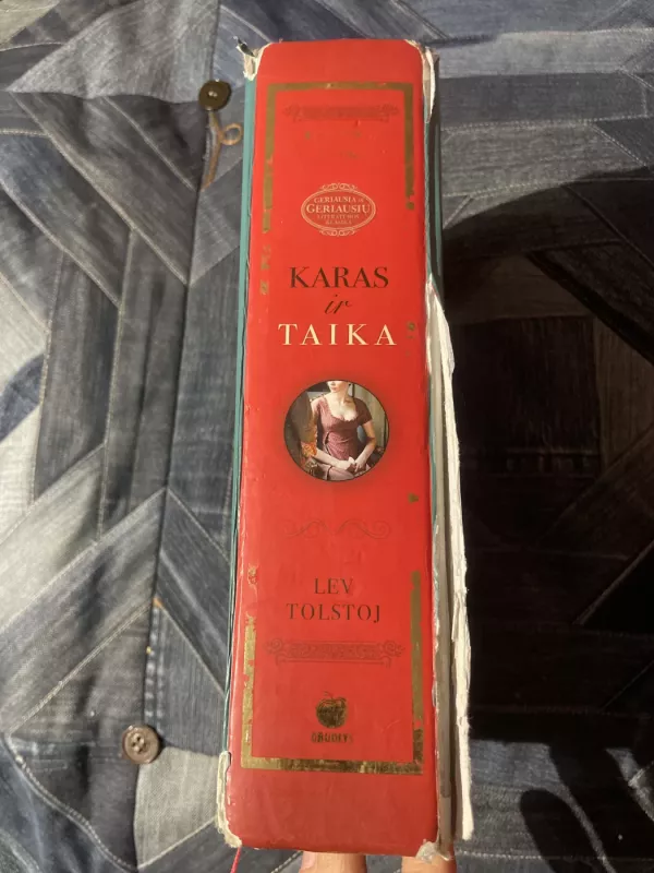 Karas ir taika - Levas Tolstojus, knyga 3