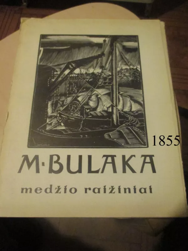 Medžio raižiniai - Mečislovas Bulaka, knyga 2