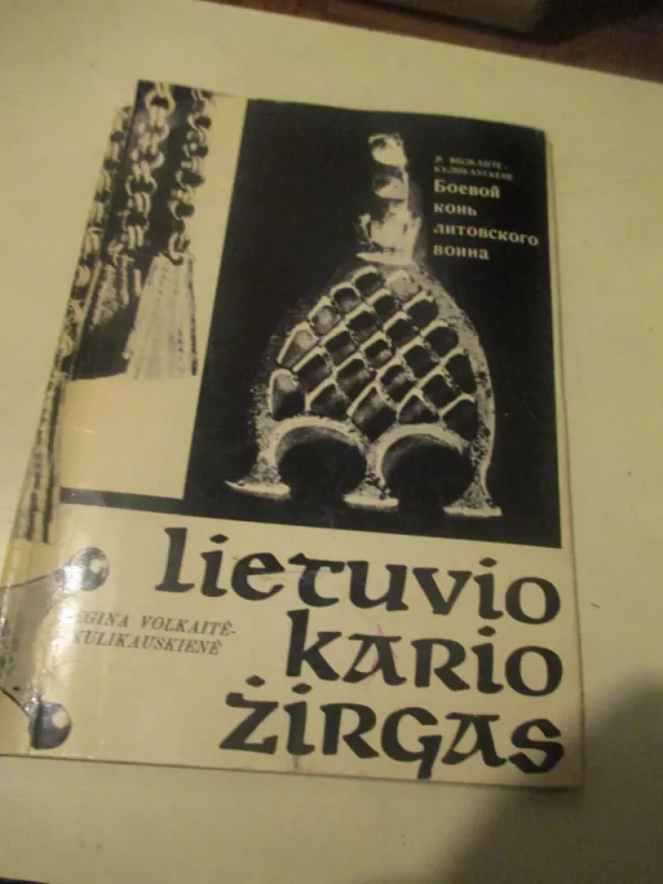 Lietuvio kario žirgas - R. Volkaitė-Kulikauskienė, knyga 3