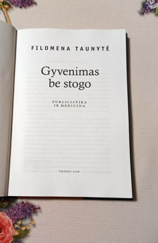 Gyvenimas be stogo - Filomena Taunytė, knyga 3