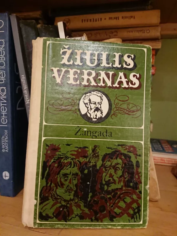 Žangada - Žiulis Vernas, knyga 2