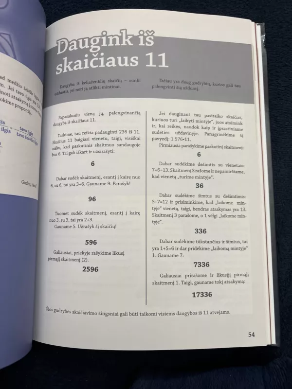 Matematikos magija - Havard Tjora, knyga 4