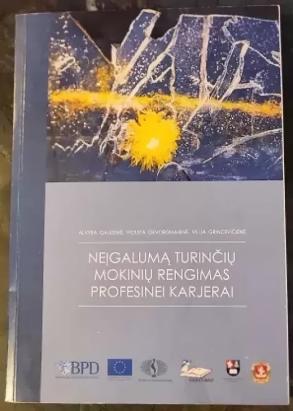 Neįgalumą turinčių mokinių verslumo ugdymo programa - Autorių Kolektyvas, knyga 2