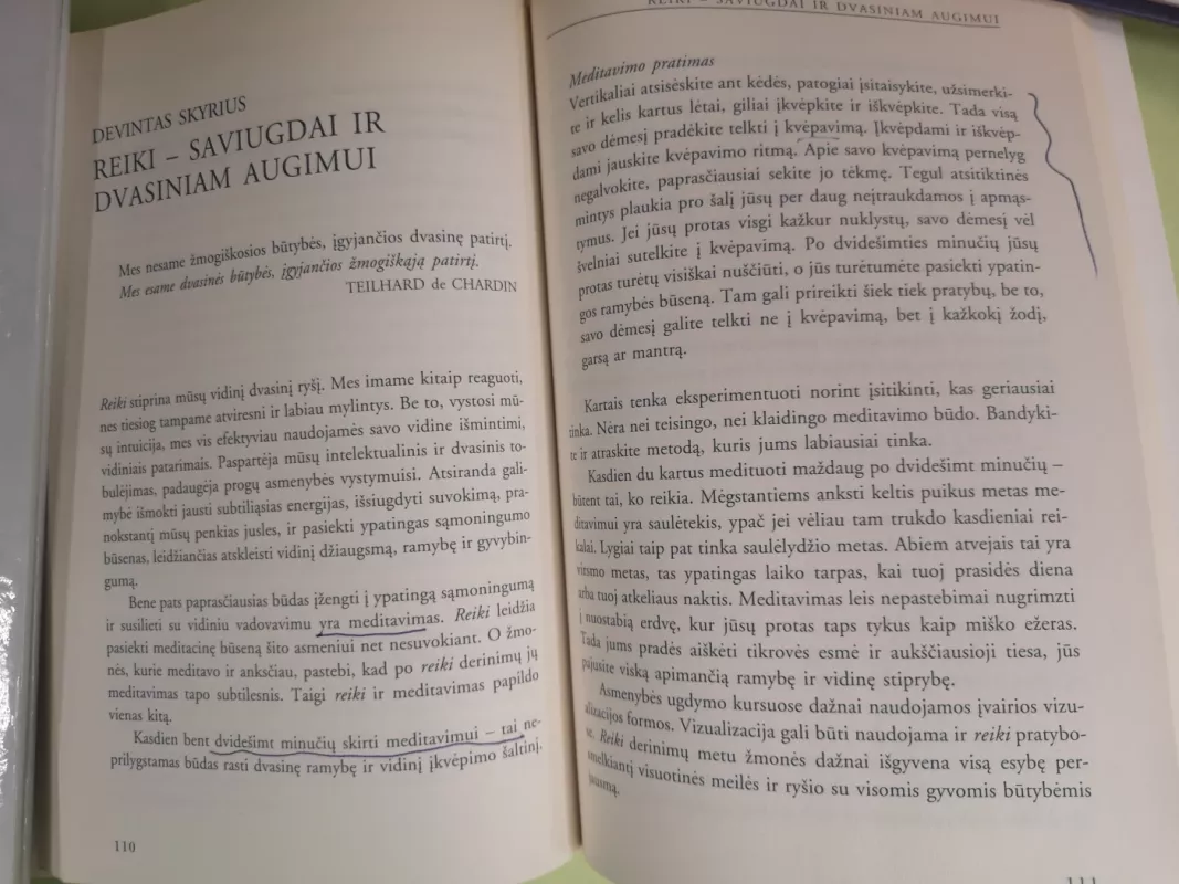 Reiki išsamus senovinio gydymo vadovas - Parkes Chris, knyga 3