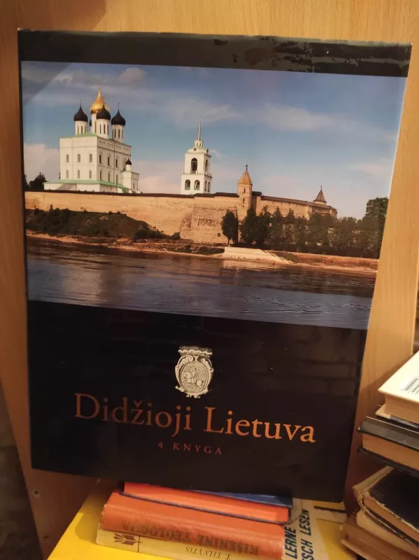 Didžioji Lietuva (4 knyga) - Birutė Valionytė, knyga 2