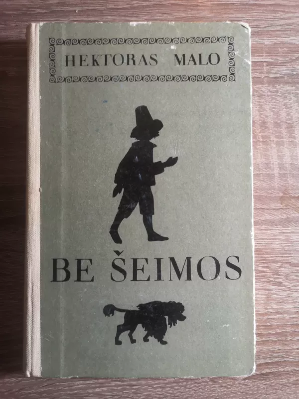 Be šeimos - Hektoras Malo, knyga 2