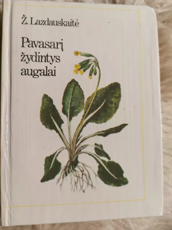 Pavasarį žydintys augalai - Živilė Lazdauskaitė, knyga 2