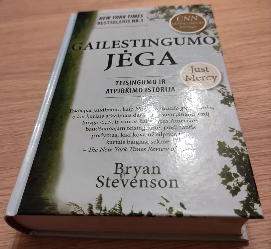 Gailestingumo jėga - Bryan Stevenson, knyga 3