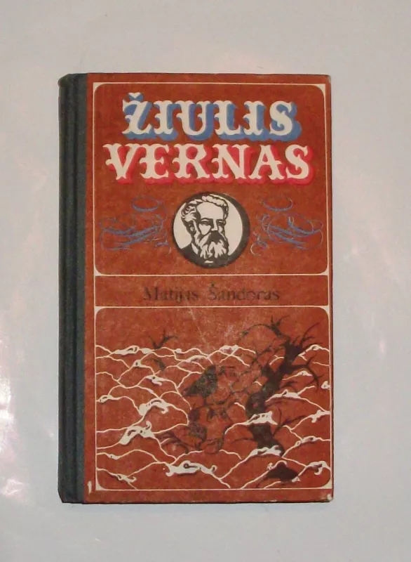 Matijas Šandoras - Žiulis Vernas, knyga 2