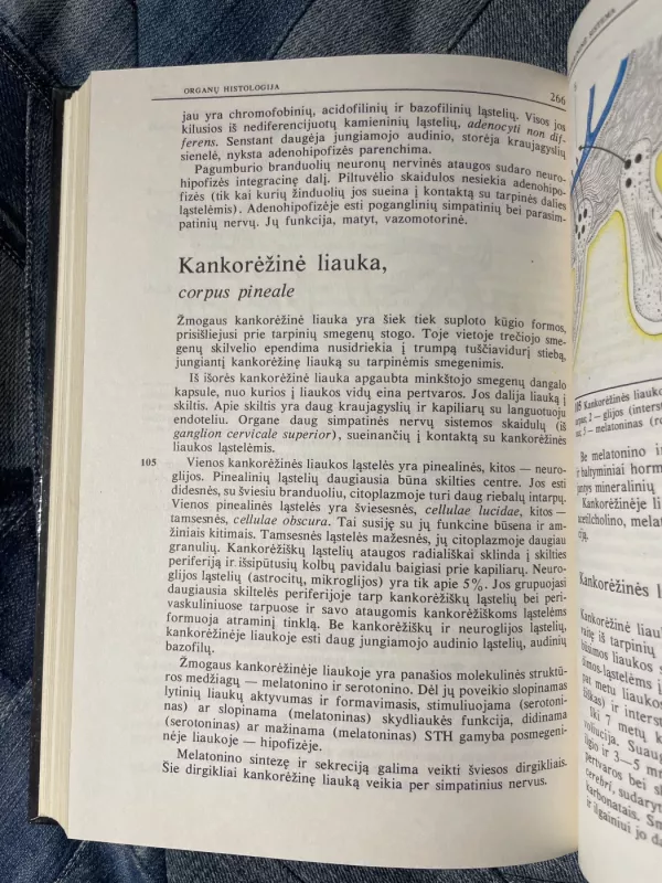 Histologija - Autorių Kolektyvas, knyga 5