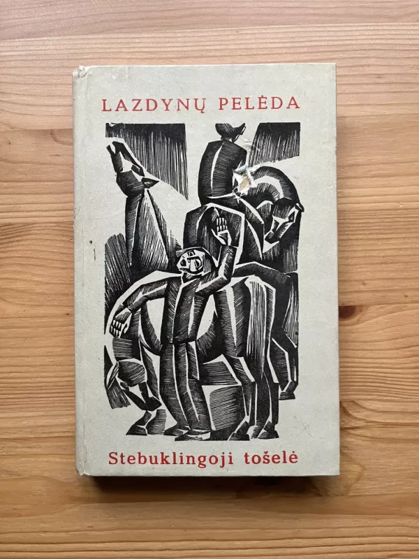 Stebuklingoji Tošelė - Pelėda Lazdynų, knyga 2