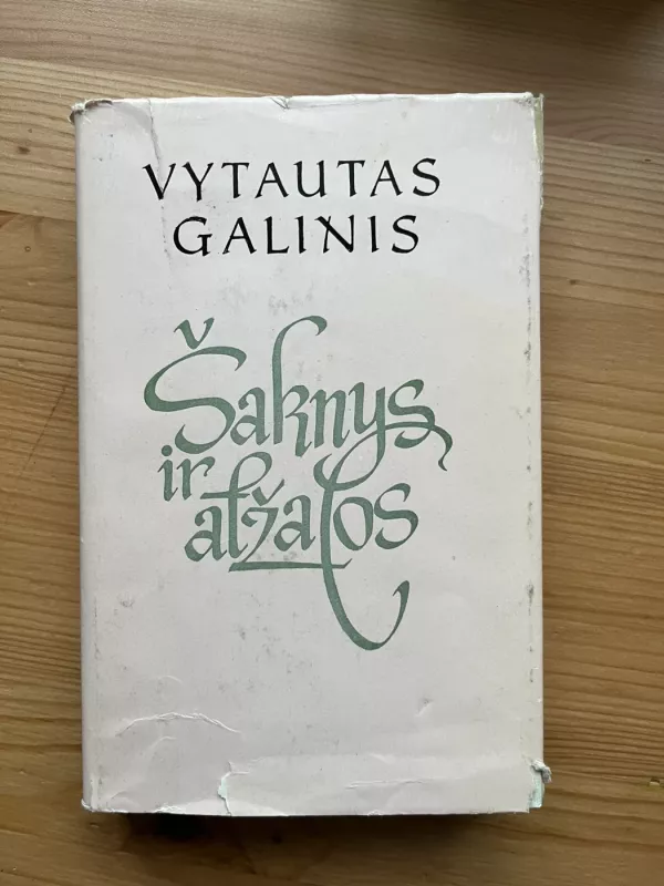 Šaknys ir atžalos - Vytautas Galinis, knyga 2