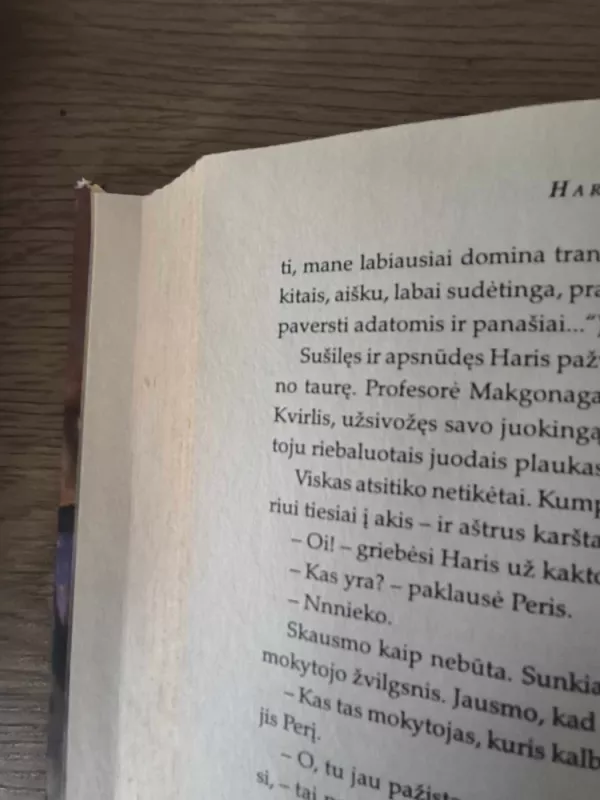 Haris Poteris ir išminties akmuo - Rowling J. K., knyga 3