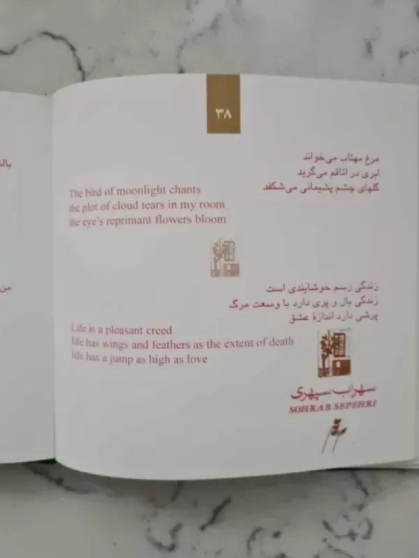 The Sound of Sohrab's Step (Persian - English edition) - Sohrab Sepehri, knyga 4